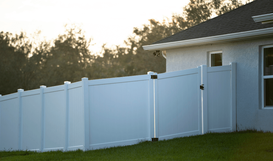 Fence Painting